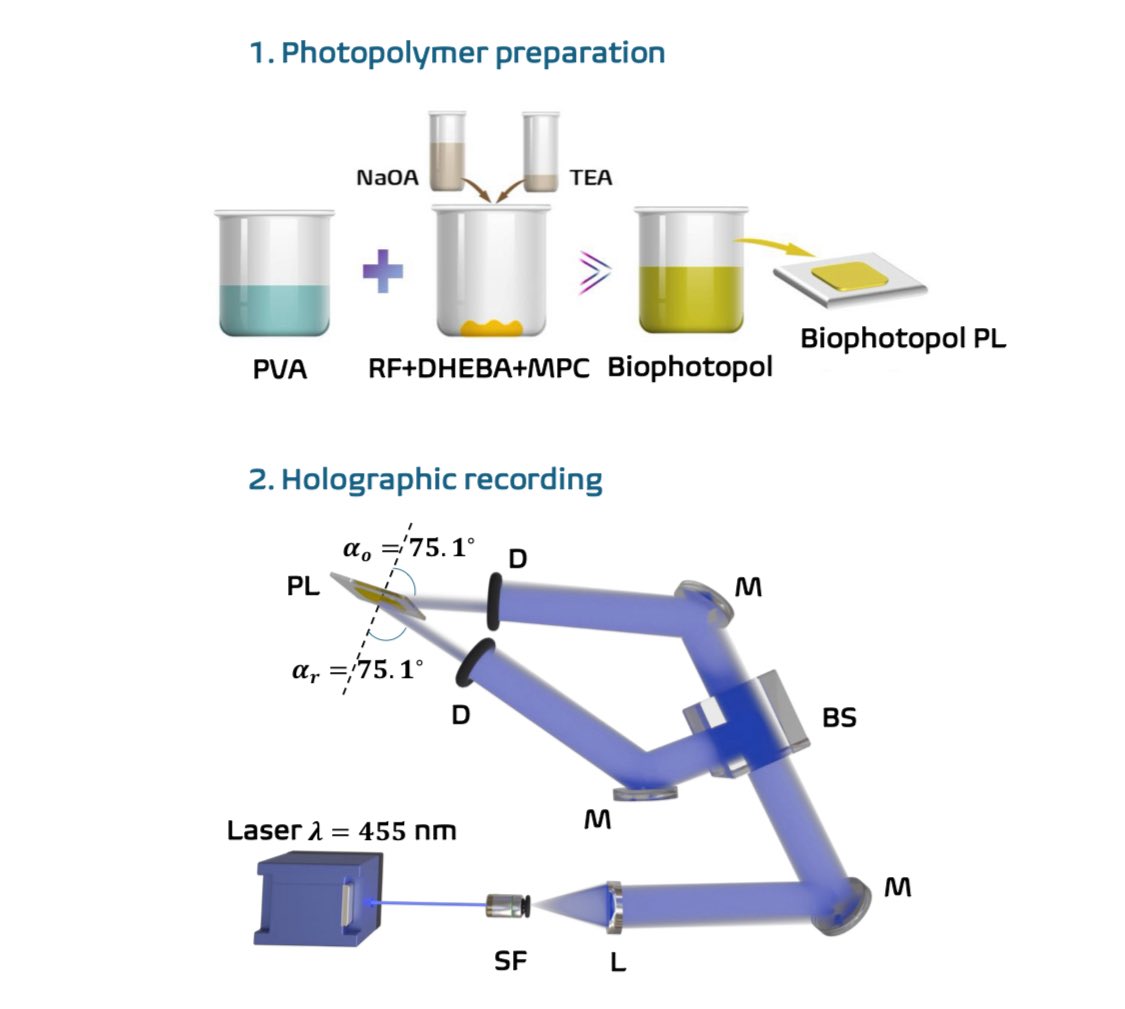 Modification of the hygroscopic properties of a low-toxicity photopolymer hdl.handle.net/10045/155541