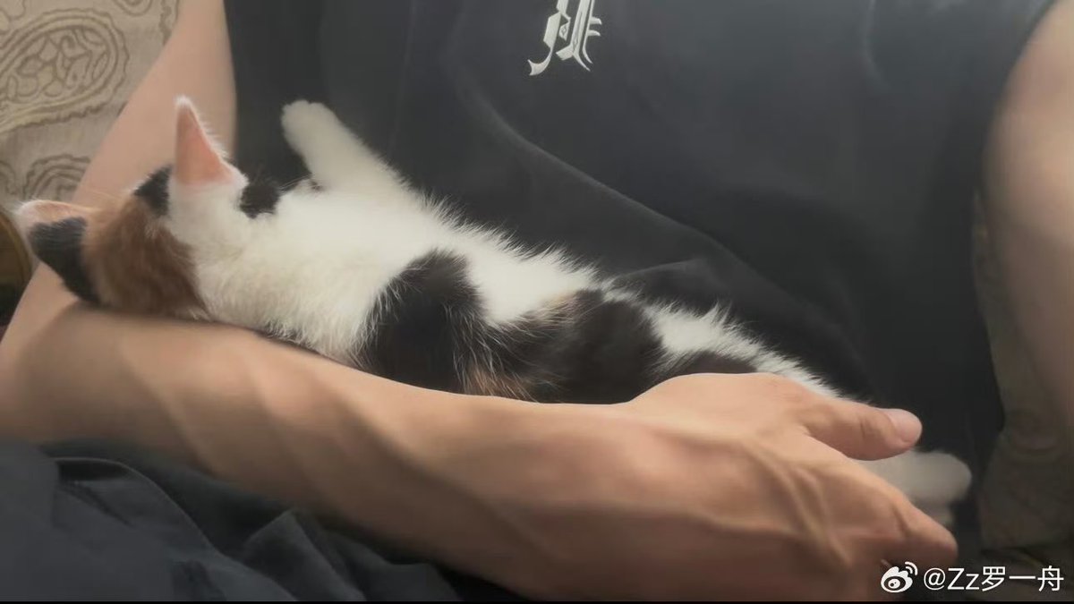 Luoyizhou1603's tweet photo. 20250712  [💚] Weibo supertopic update!   

🐱 

🔗 https://t.co/7CH2dx5UaF

#หลัวอีโจว 
#LuoYizhou 
#罗一舟 https://t.co/SGDJQzTGnX