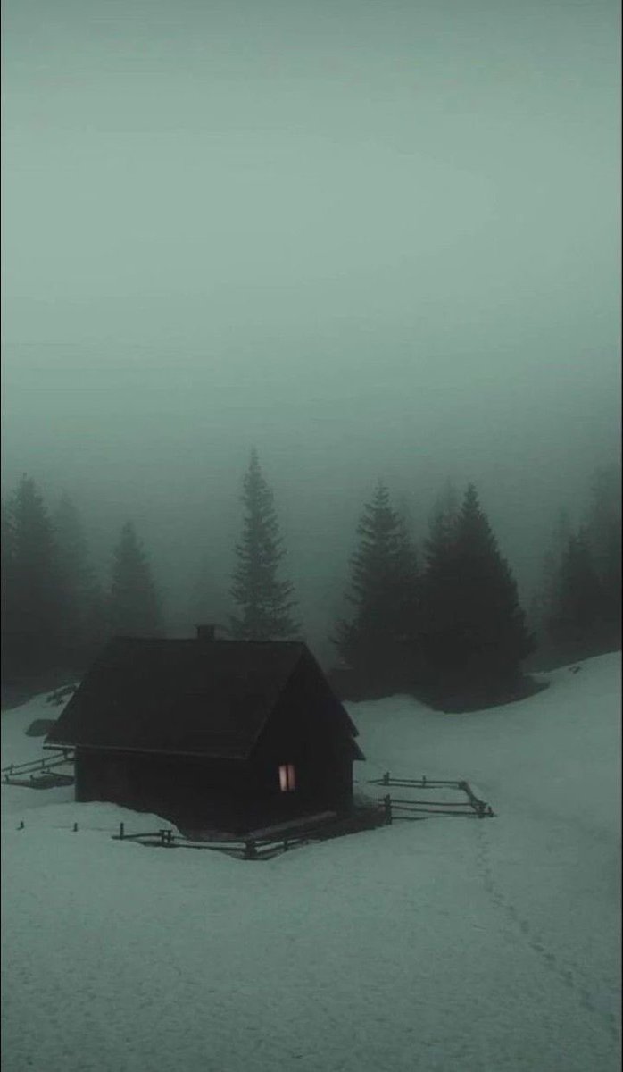 👻 𝘯𝑎𝘵𝑢𝘳𝑒 👻 (@spooky_nature) on Twitter photo 