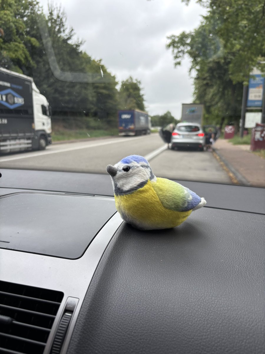 Tschiep, tschiep Reisemeise hier. Die nächste Pause. Noch 200 km bis zum Ziel.