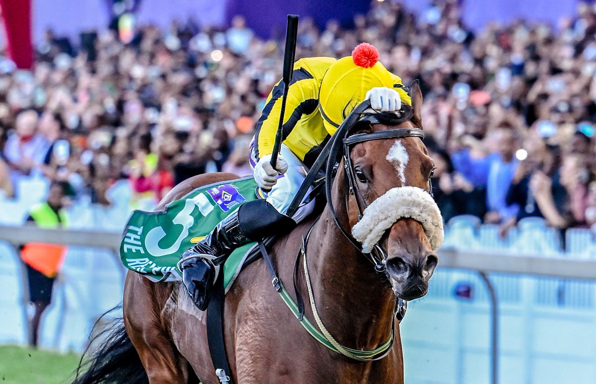One week on since The Real Prince was crowned King of the Hollywoodbets Durban July!