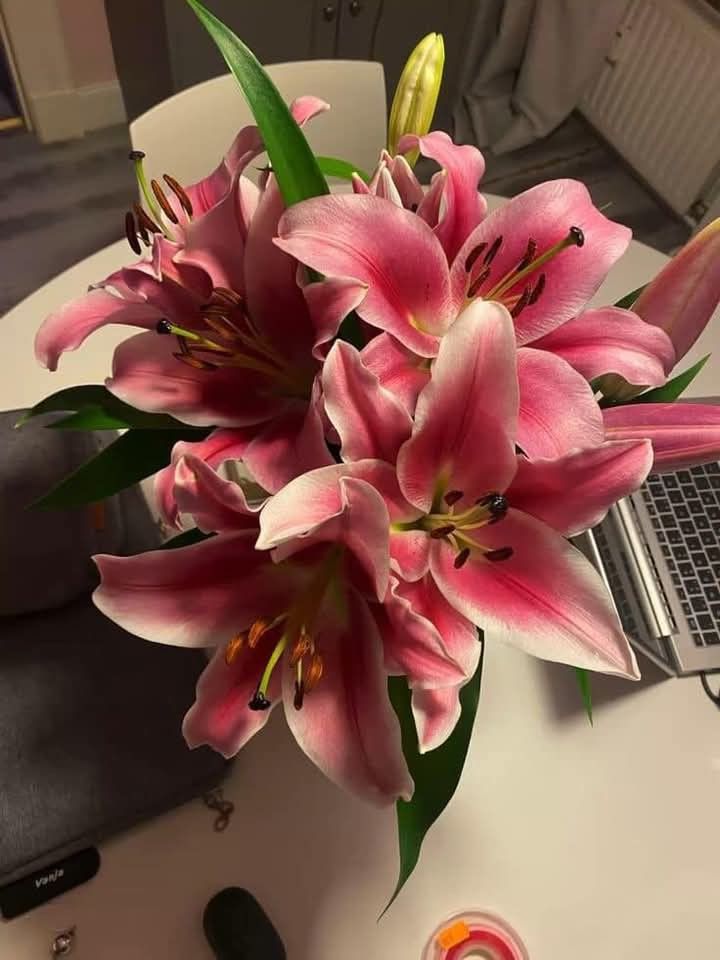 Flowers (@flowers489) on Twitter photo 