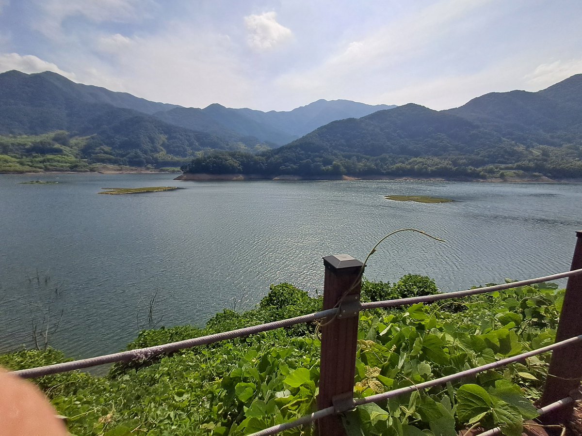 𝓰𝓲𝓶𝓵𝓮𝓽_ tweet media