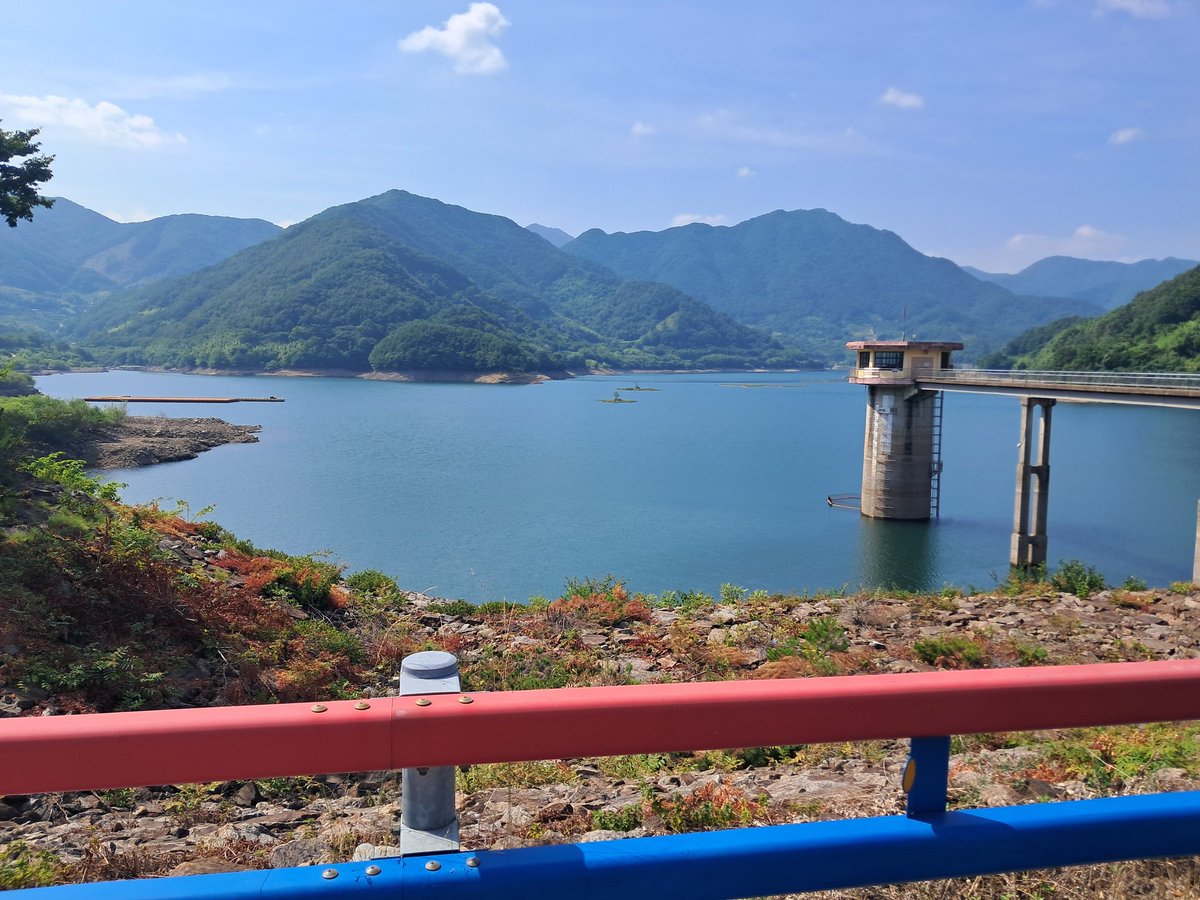 𝓰𝓲𝓶𝓵𝓮𝓽_ tweet media