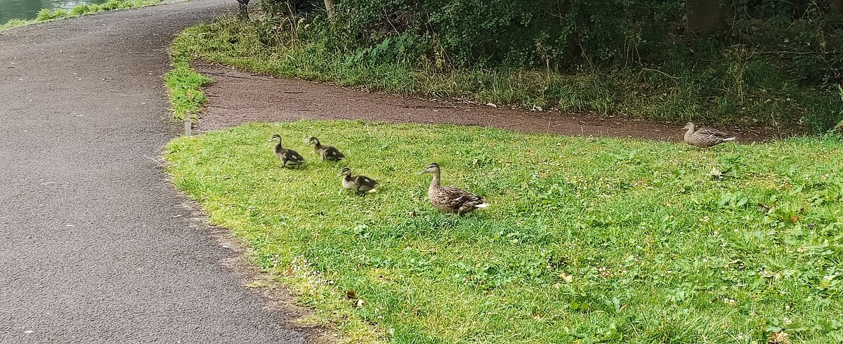 Jesmond Dene parkrun tweet media