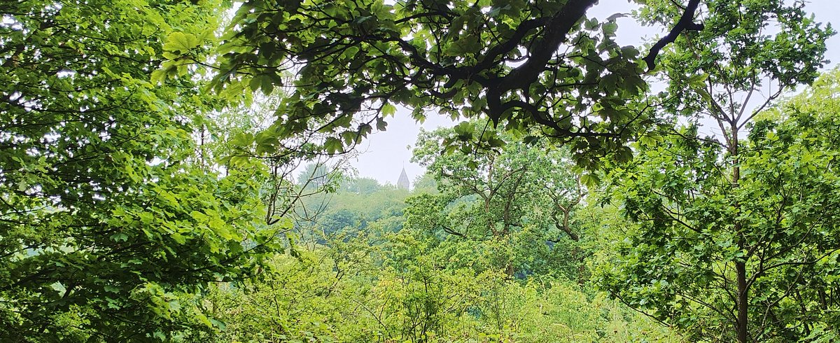 Jesmond Dene parkrun tweet media