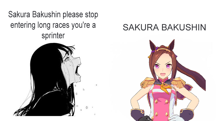 Sakura Bakushin O's career mode in a nutshell