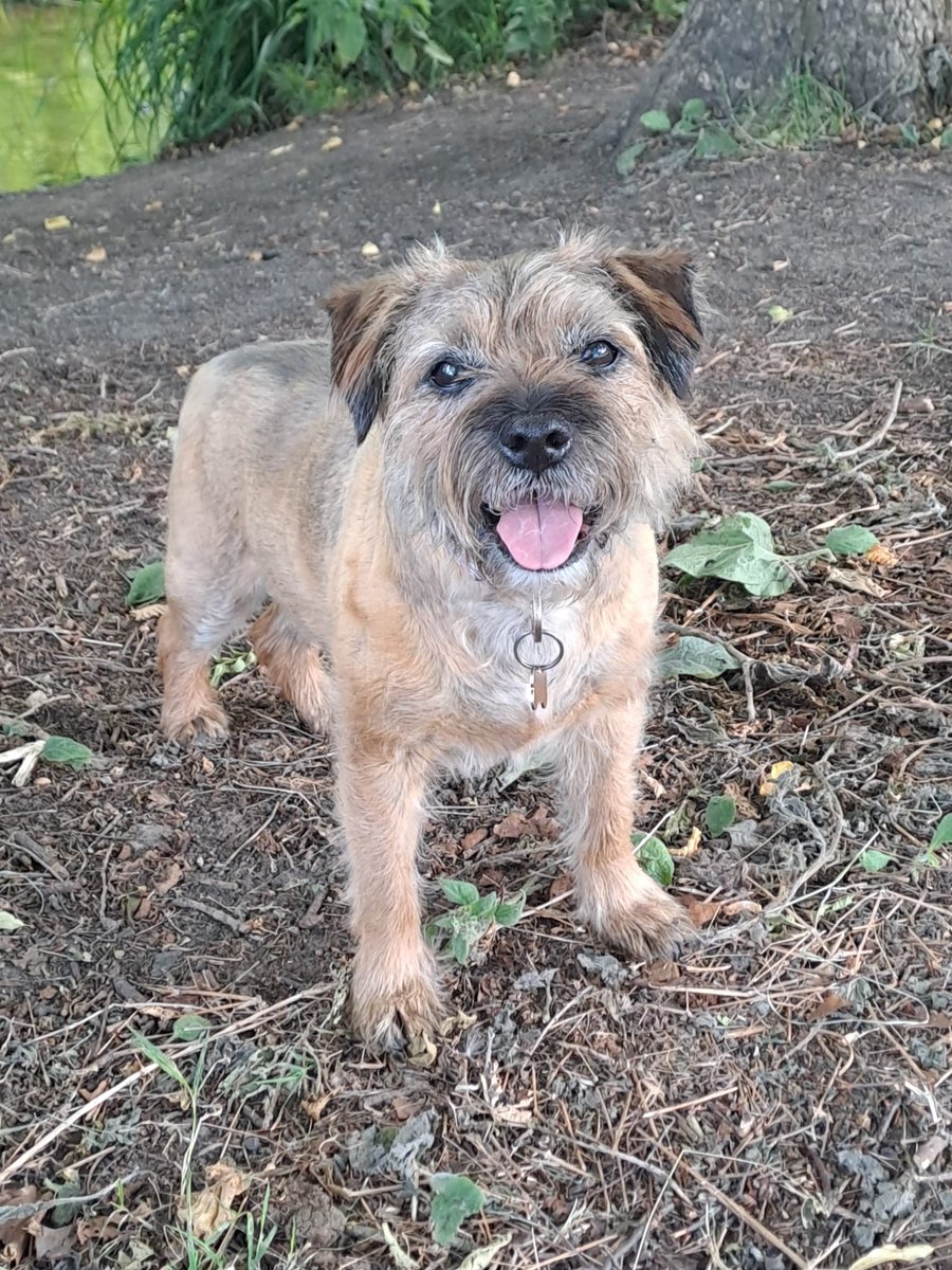 Barney is 12 years old today