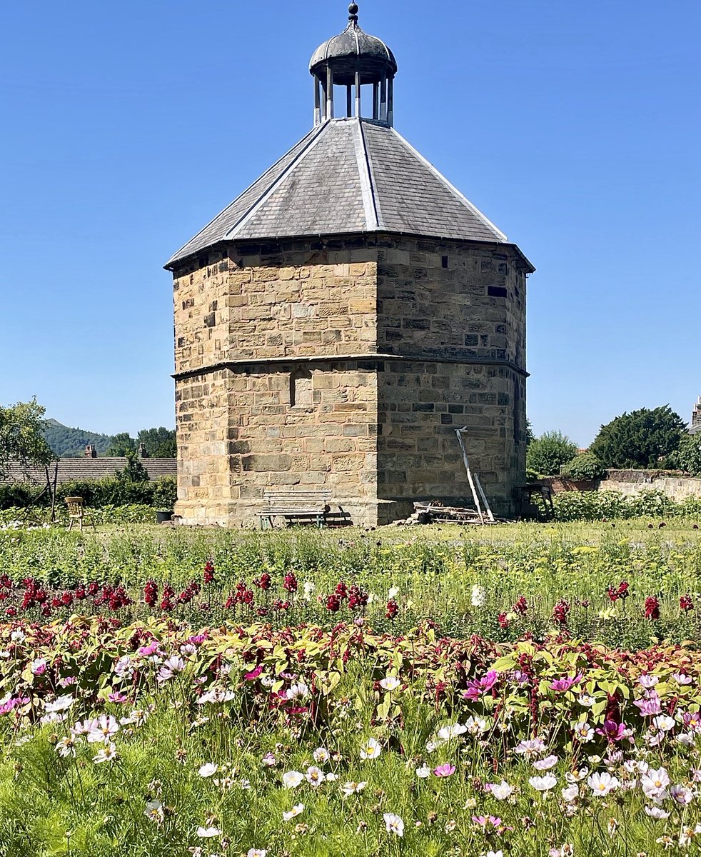 Nicky13Johnson's tweet image. Wishing you a wonderful weekend from Guisborough Priory Gardens, North Yorkshire 馃槉