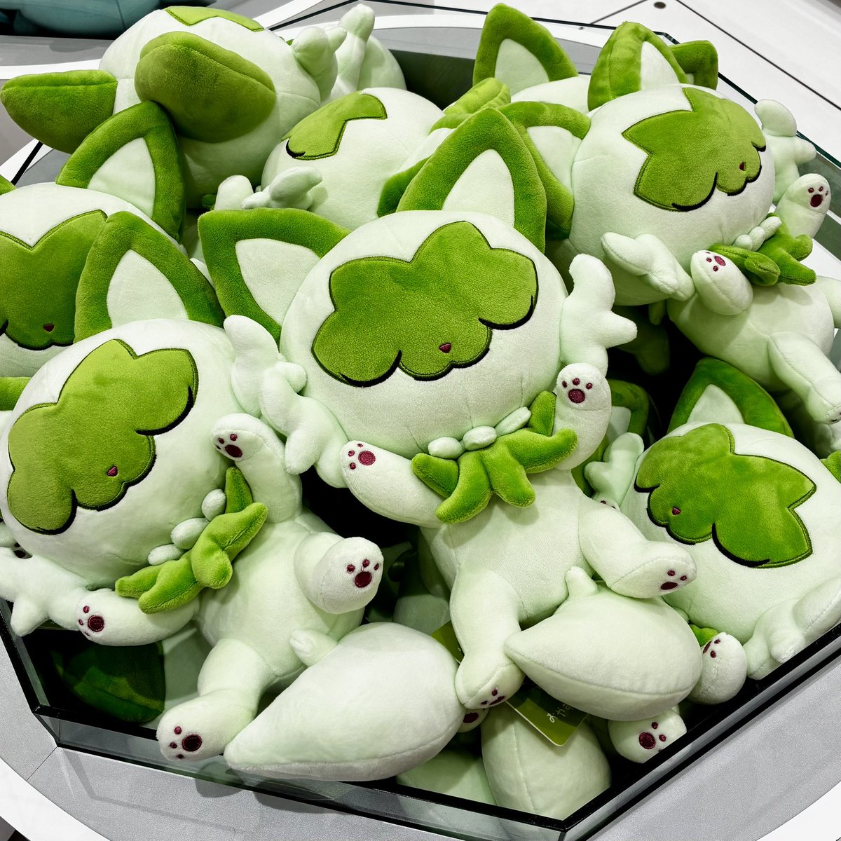 もっちりぬいぐるみ Pokémon Sleep #ポケモンセンター