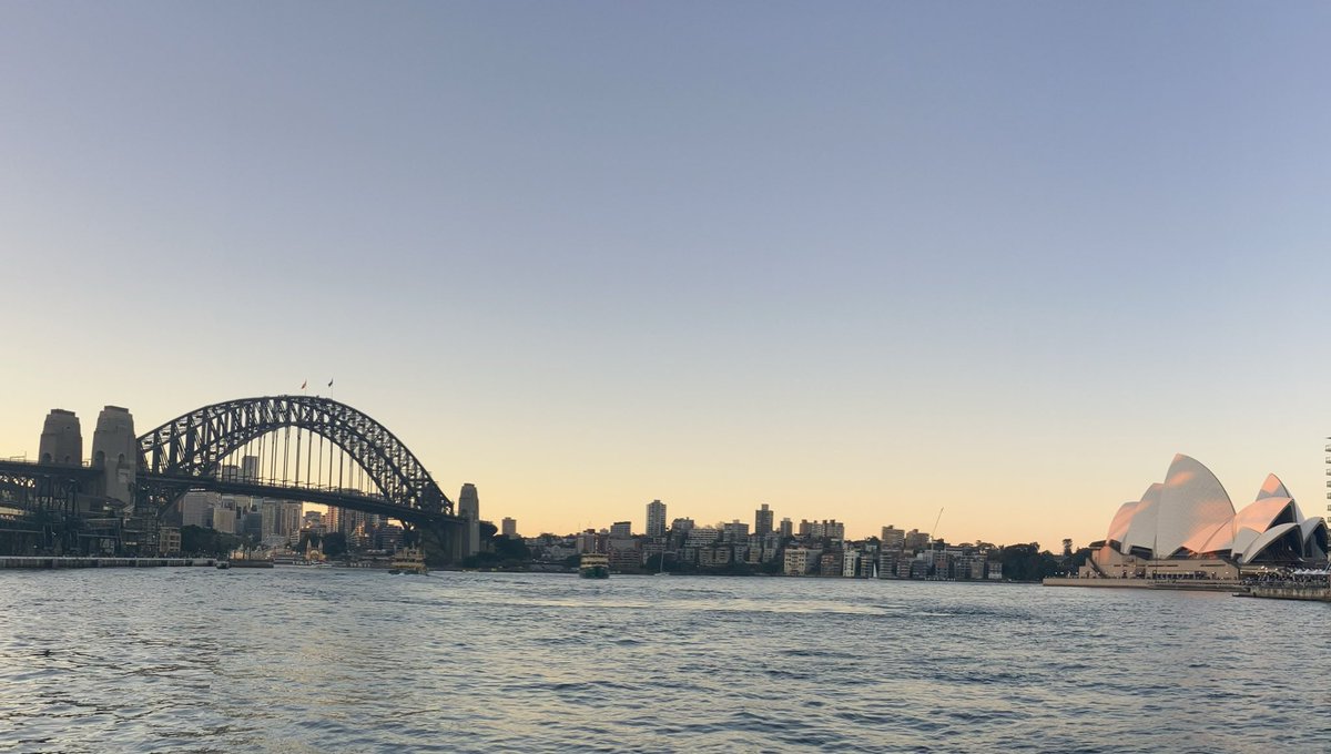 MC Rugby tweet media