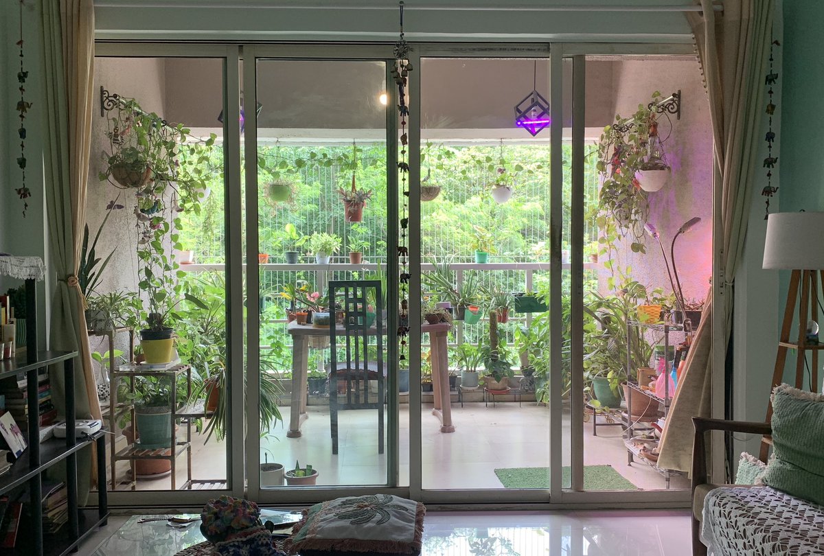 abhijit_MLab's tweet image. Bliss!