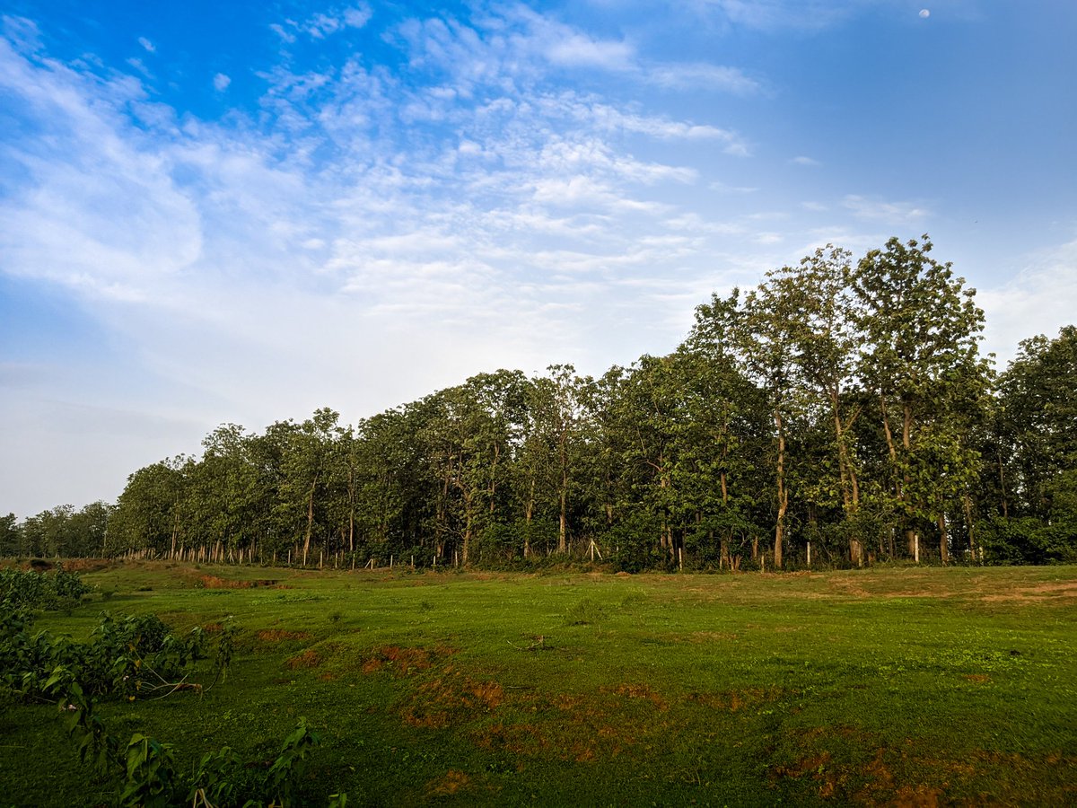 Good morning 🌞 
Hey fam 👋 the all photos are open for offers 🎉 
Comment ❣️✨ like share ❣️ retweet 💕