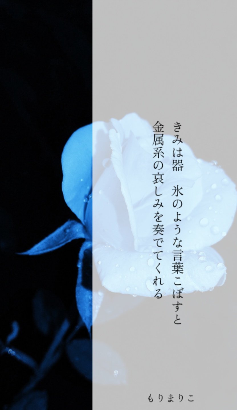 ゼロゼロゼロ　もりまりこ　歌集　現代短歌 ゼロゼロゼロ もりまりこ 歌集 現代短歌