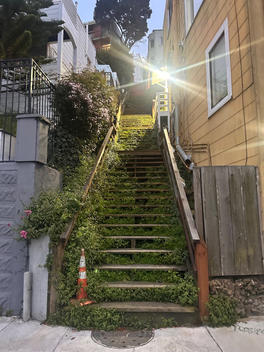 evan conrad tweet media