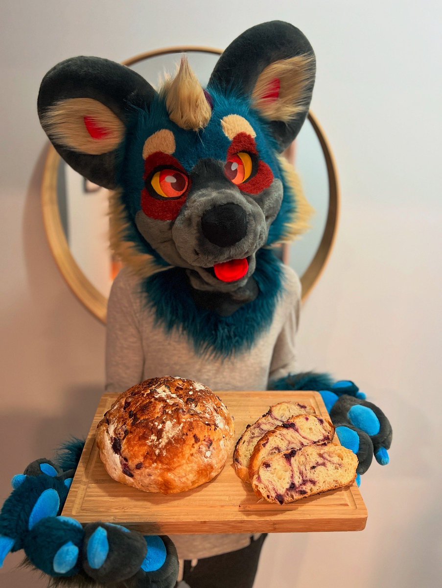 roWildDog's tweet photo. Forgot to post this last month but SERVICEBERRY SWIRL SOURDOUGH! #juneberry #furry #sourdoughbread #amelanchier #furryfandom #awd #atro #fursuitfriday https://t.co/SkhgK2eQkF