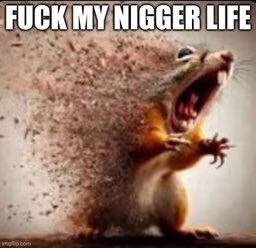 TheCumpound's tweet image. 