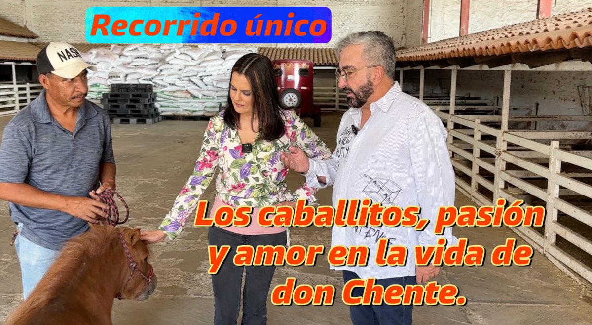 🐴  He aquí los mundialmente famosos "caballitos" de la raza Vicente Fernández.   ¡Únicos!

🐴 Eran la adoración de don #VicenteFernández.  En sus tiempos libres disfrutaba horas a su lado y hasta ayudaba a las pequeñas yeguas a parir.

¿Cómo se cuidan ante su ausencia?, ¿se