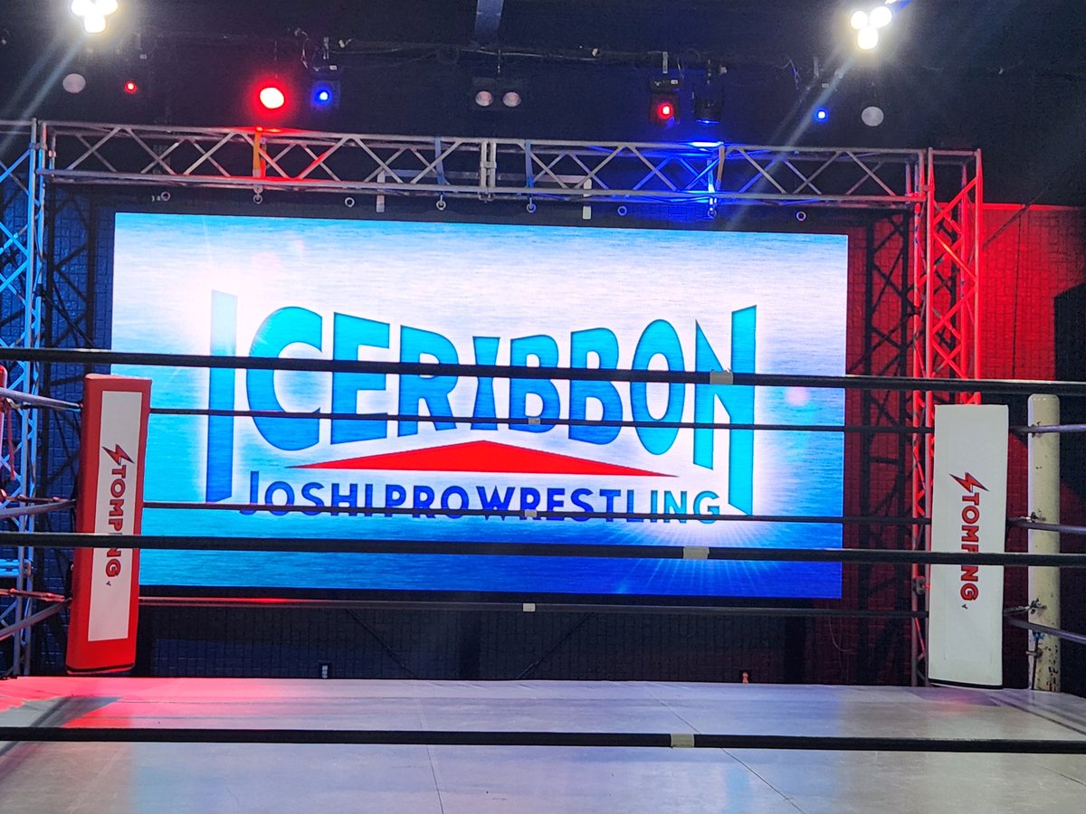 10枚限定 清水ひかり 直筆サイン入りチェキカード 女子プロレスカード2023 10枚限定 清水ひかり 直筆サイン入りチェキカード 女子プロレス