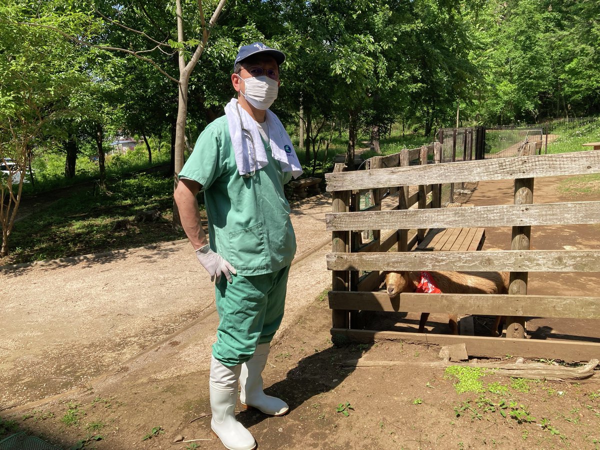 Taiyo_hd's tweet image. 本日、7月12日は人間ドックの日!🧑⚕️❤️🩹
太陽ホールディングスのヤギ社員しじみも先日健康診断を受けました!
診断後はお気に入りの木の上で、まったりご機嫌なしじみです🐐🍃
皆さんも健康第一!