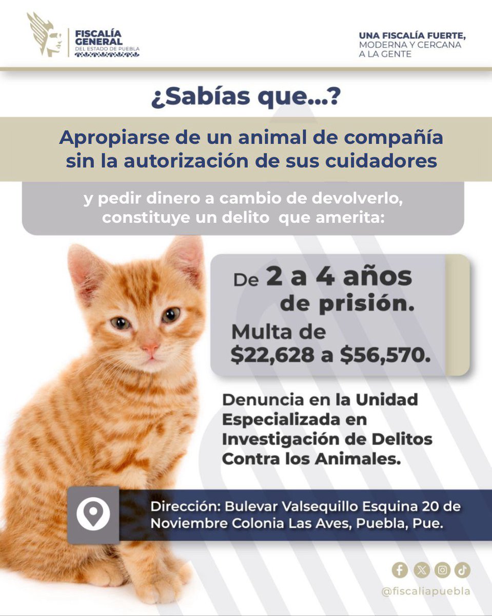 FiscaliaPuebla's tweet photo. Apropiarse de un animal de compañía sin la  autorización de sus cuidadores y pedir dinero a cambio de devolverlo, constituye un delito.
 
Conoce las sanciones por cometer este ilícito y denuncia en la Unidad Especializada en Investigación de Delitos contra los Animales. 

#FiscalíaCercana