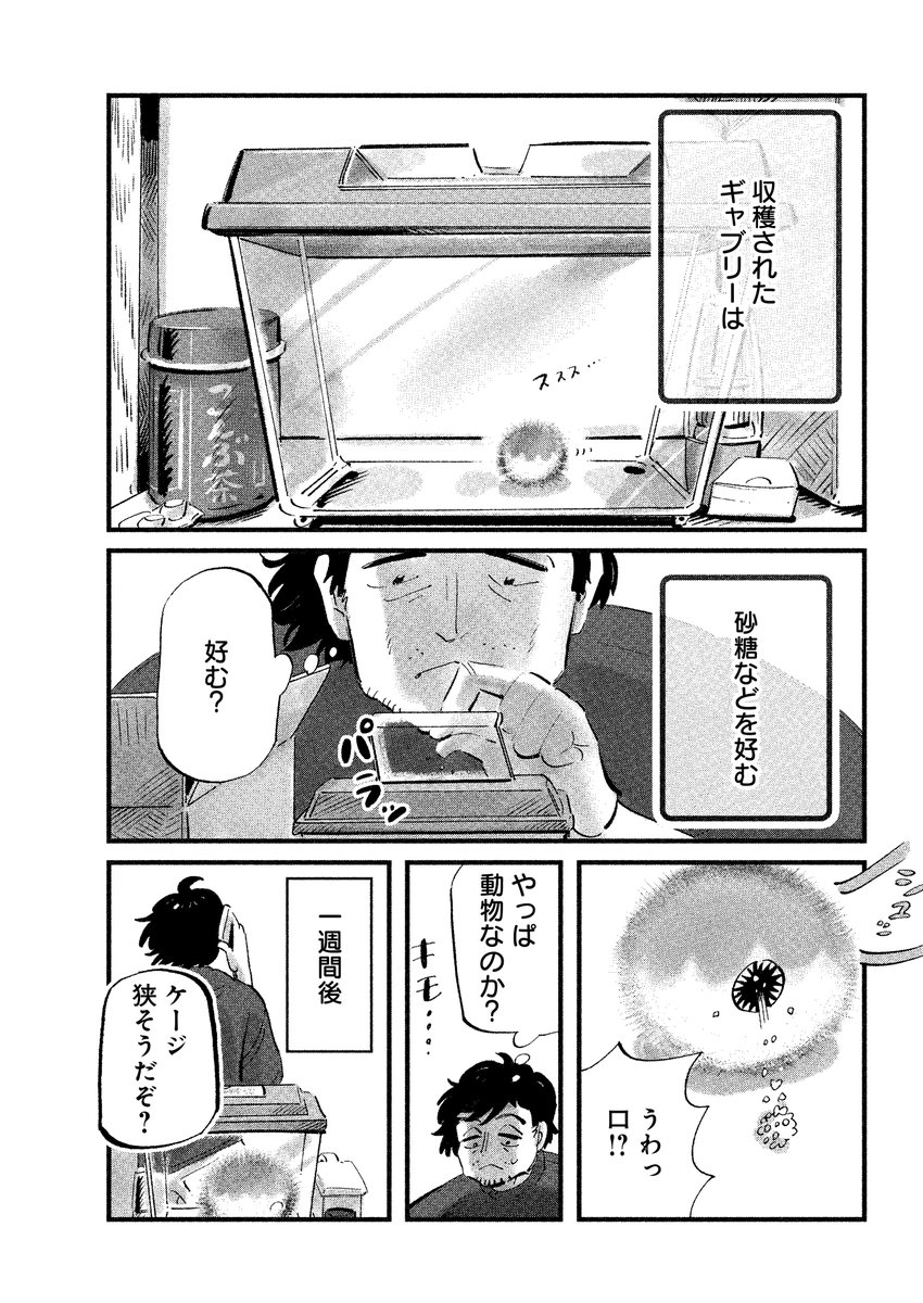 『大切なすあまへ』

(4/13) 