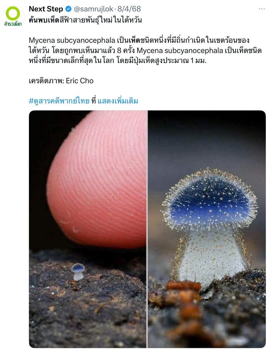 นึกถึงอันนี้ อาจจะไม่ใช่สายพันธุ์ใหม่ มันแค่เล็กจนไม่เคยมีใครไปเจอ แล้วพี่ไปเห็นได้ไงวะนั่นตั้ง8ครั้ง 555555555