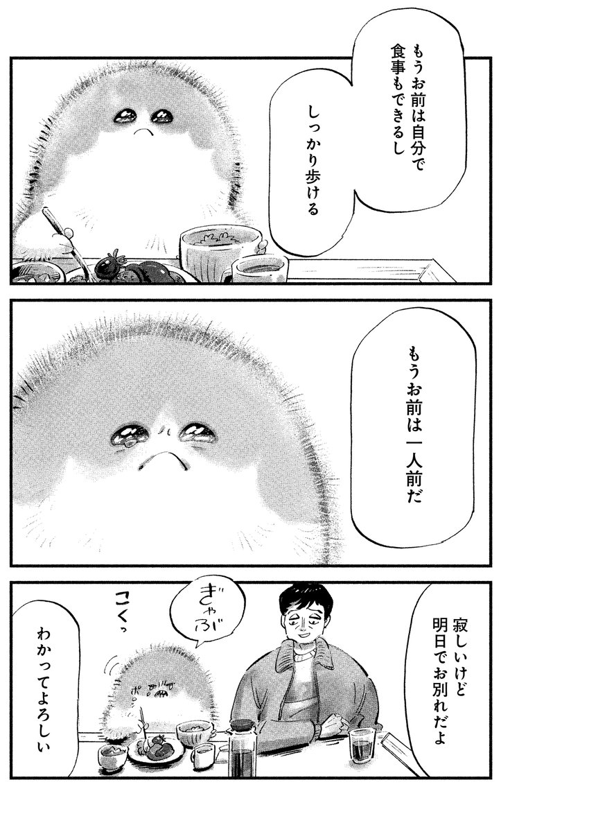『大切なすあまへ』

(10/13) 