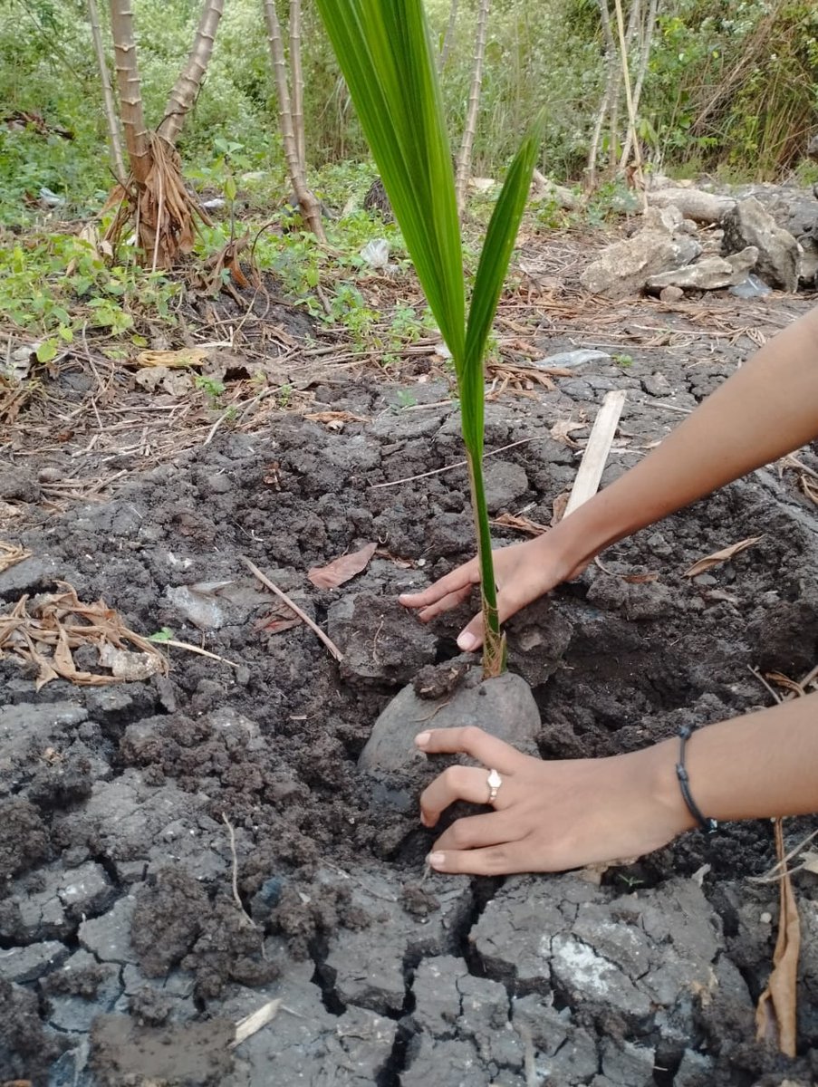 rere4youu tweet media