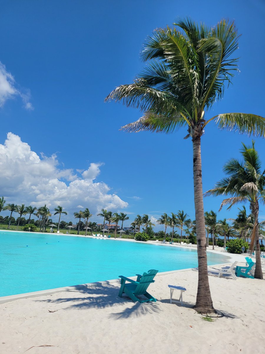 Happy summer, everyone ☀️