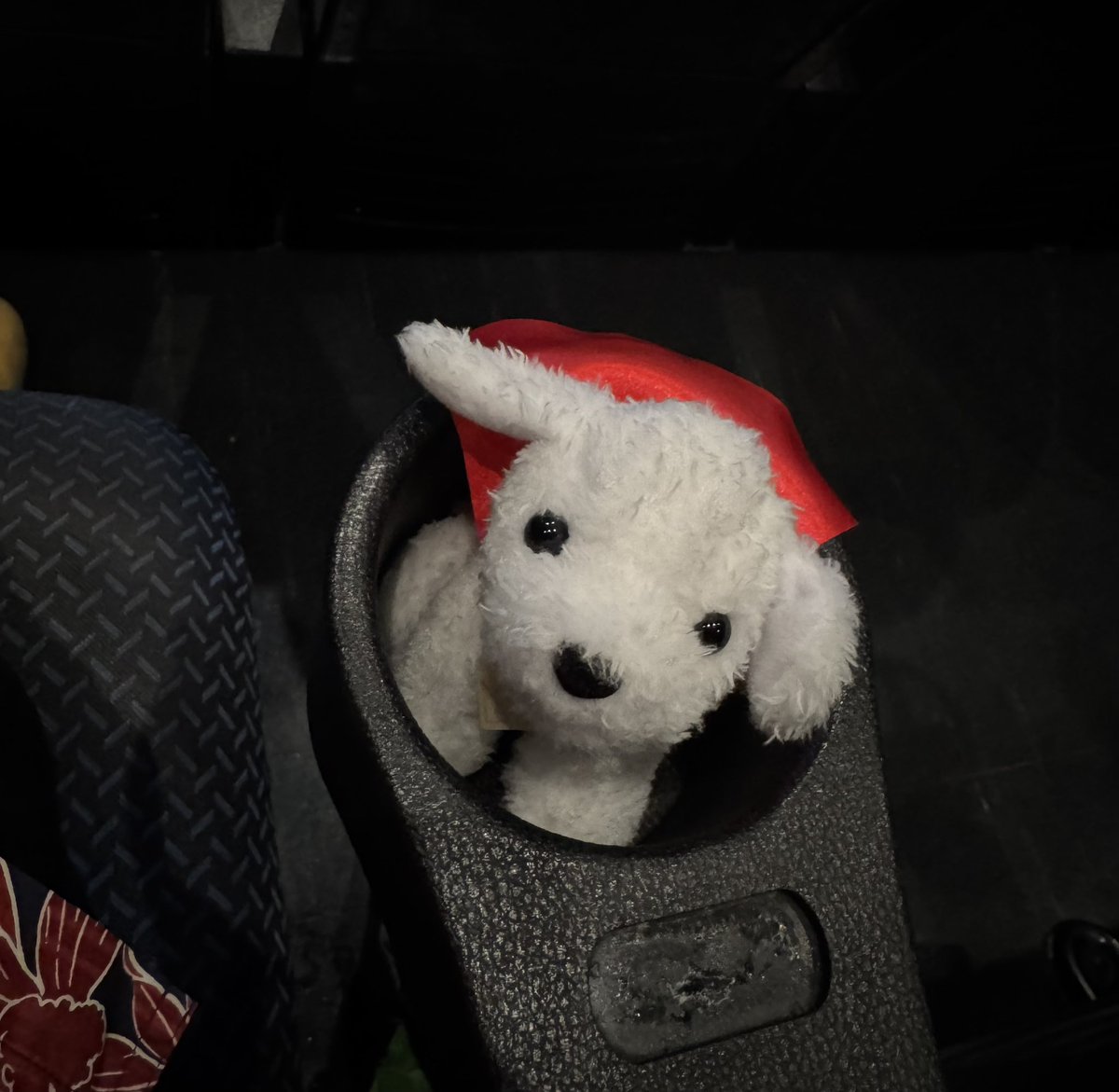 あーー可愛いかった❤️