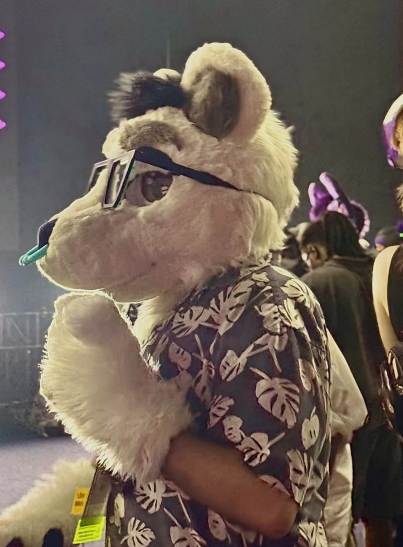 Isaac burr (@isaacbear69) on Twitter photo Whatcha looking at? ๐
#anthrocon2025 #FursuitFriday
๐ท: <a href="/Summer_Rine_21/">Summer Rine๐๏ธ ๐ EFNW, AFC</a> Whatcha looking at? ๐
#anthrocon2025 #FursuitFriday
๐ท: <a href="/Summer_Rine_21/">Summer Rine๐๏ธ ๐ EFNW, AFC</a>