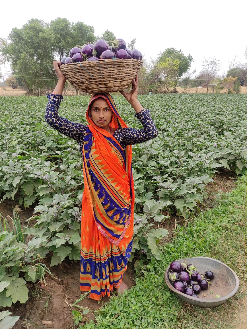 BasantFPO's tweet photo. #Work4Progress के तहत #LacaixaFoundation के सहयोग से @ActionAid द्वारा बुन्देलखण्ड के जनपद झाँसी में संचालित समृद्धि परियोजना के तहत महिला उद्यमी बम्पर सब्ज़ी उत्पादन कर रहीं हैं @BasantwomenFPO उनको बेहतर दाम हेतु बाजार उपलब्ध करा रहा है।
@sndeep
@C9Khalid @AnuraagJhansi https://t.co/9His8s5eej