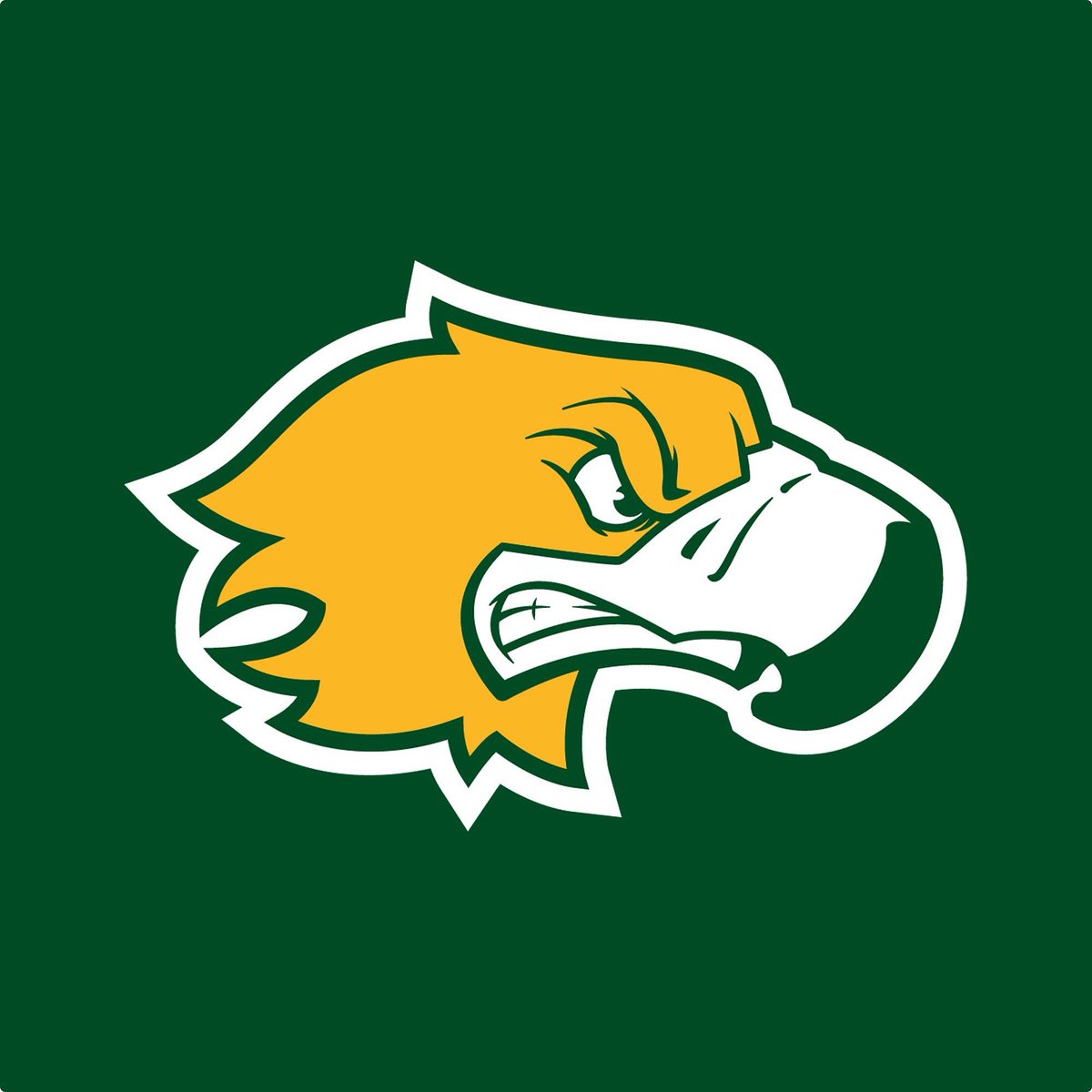 Super thankful to further my academic and athletic career at Concordia University Irvine. Thank you to Coach Turgeon and Coach Fahey for this opportunity! 🦅🦅 <a href="/CUIBASEBALL/">CUI Baseball</a>