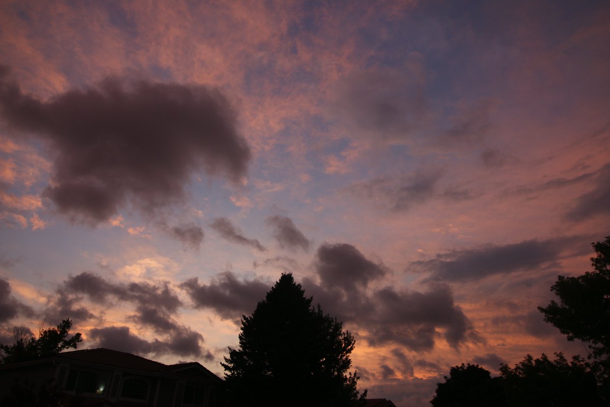 Tysm for the past days y'all it's been Insaine I love making these post where I list all of the things that have happened...
-Amazing sunset 
-favorite song with new earbuds 
-youtube channel blew up
-hopefully getting a job and making money 
-developing my Roblox game 
Ty :)