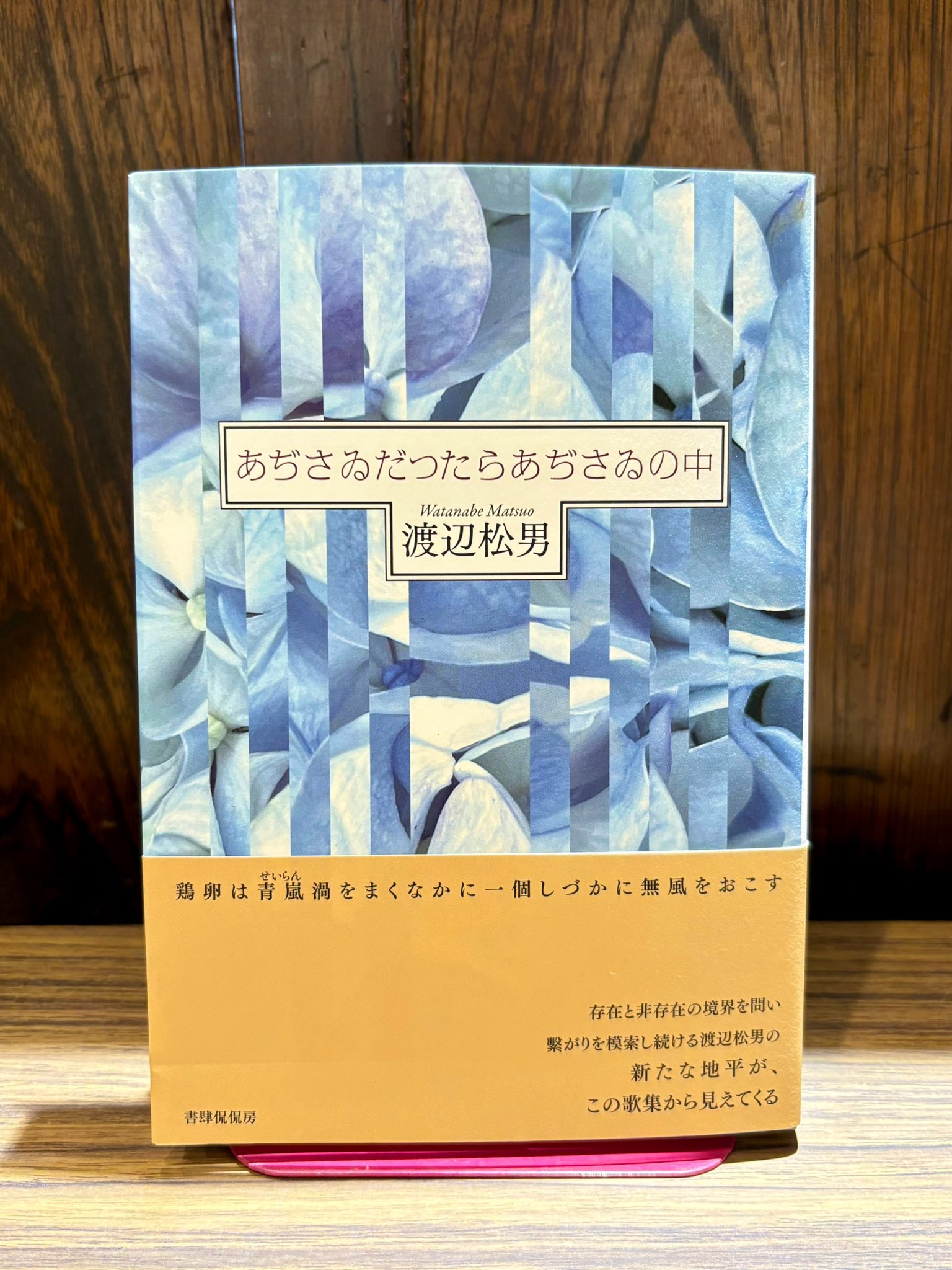 けやき少年 歌集 （かりん叢書） / 渡辺 松男 / 砂子屋書房 けやき少年 歌集 （かりん叢書） / 渡辺 松男 / 砂子屋書房