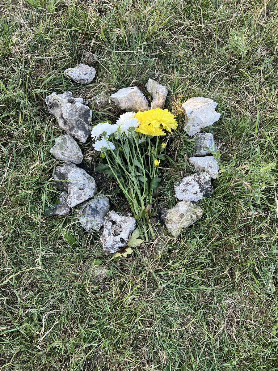 alexeades1's tweet image. So glad we will be with you all day on The South Downs. Never forgotten