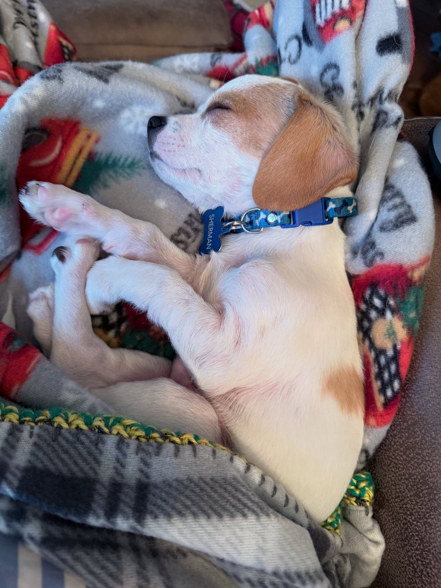 Cinderls (@cinderls) on Twitter photo 