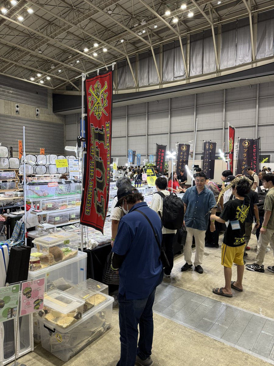 浜レプ会場しました😃
是非LOJブースにお立寄り下さい✨