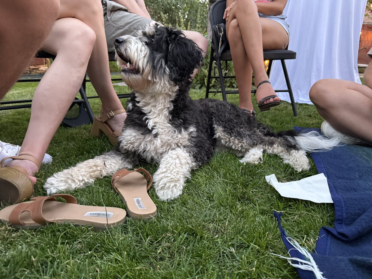 Louie is in the middle of party hosting