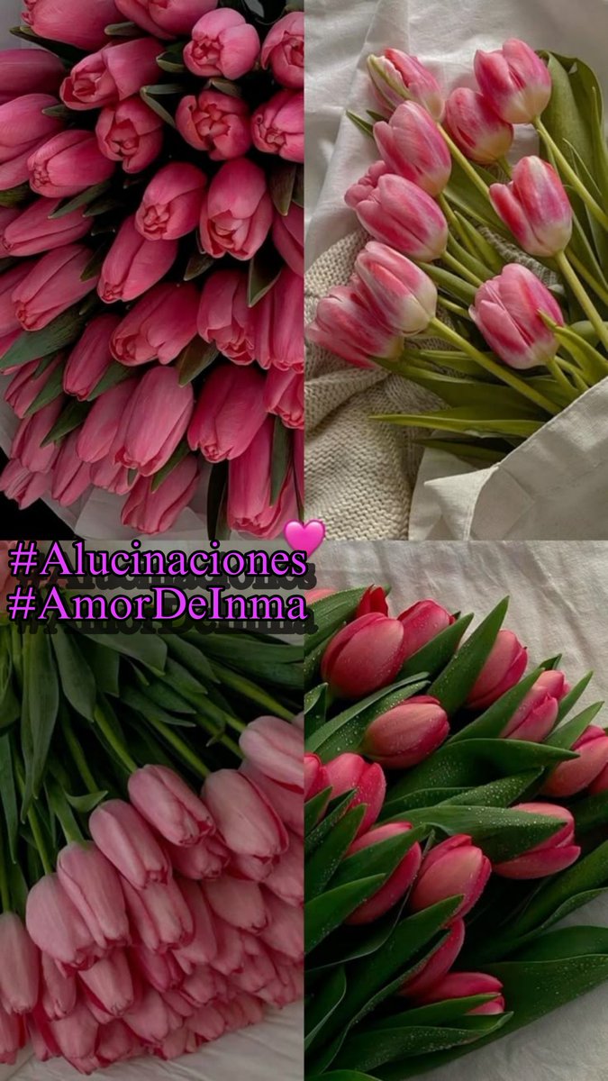 🛸#Alucinaciones
💕#AmorDeInma 
💠
<a href="/haydeedelpato16/">🇦🇷👠Haydee Renessi</a>
<a href="/RosaNegra008/">#ℑ𝔫𝔪𝔞 🌹🖤</a>
<a href="/halconavicencio/">🌹❤️ELENA MIRANDA V.❤️🌹#E̲l̲e̲M̲i̲r̲a̲n̲d̲a̲</a>
<a href="/nena_bovb51/">Nena</a>
<a href="/Spencerjames211/">Spencer James #GAINWITHPETAL #TMPETAL #Teamspirit</a>
💠
<a href="/papiko7890/">ぱぴこ❤</a>
<a href="/jasmine50012486/">🌼࿐♡ᒍᗩSⓂ️İᘉᕮ🌼｡･ﾟ♡ﾟ</a>
<a href="/ElderAcost/">ELDER AC✪STA 📚23ʸʳˢ⚽️</a>
<a href="/CarloSportfan/">SportISmyLIFE ⚽⚾🏀🏐🏈🎾🎳🏏🏓⛳</a>
💠
<a href="/Angel24629683/">𝓜𝓲𝓰𝓾𝓮𝓵 𝓐𝓷𝓰𝓮𝓵 𝓙𝓻 </a>
<a href="/OneMoreGer/">Gera</a>
<a href="/RAMNJP1/">RAMÓN</a>
<a href="/MarinaEle23/">❣️Marina Elena V.❣️#𝔻𝕖𝕁𝕒𝕡𝕠𝕟𝔸𝕣𝕚𝕘𝕒𝕥𝕠🌸</a>
💠
<a href="/legal_legal69/">Juan Perez 🧰🧰🔧🔧🪒🪒</a>
<a href="/Elmaslegal/">Juan Pérez</a>
<a href="/Danijose69/">ᙃᥲᥒɩꙆo</a>
<a href="/cagalafiesta/">@Cagalafiesta 🎧🎧🎧</a>