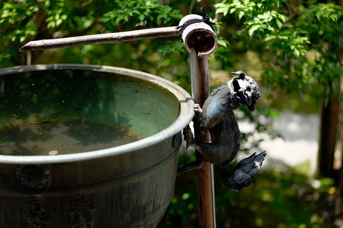 NGrmps8's tweet image. LUMIX S 85mm F1.8
#LUMIXS5 #LUMIXJAPAN