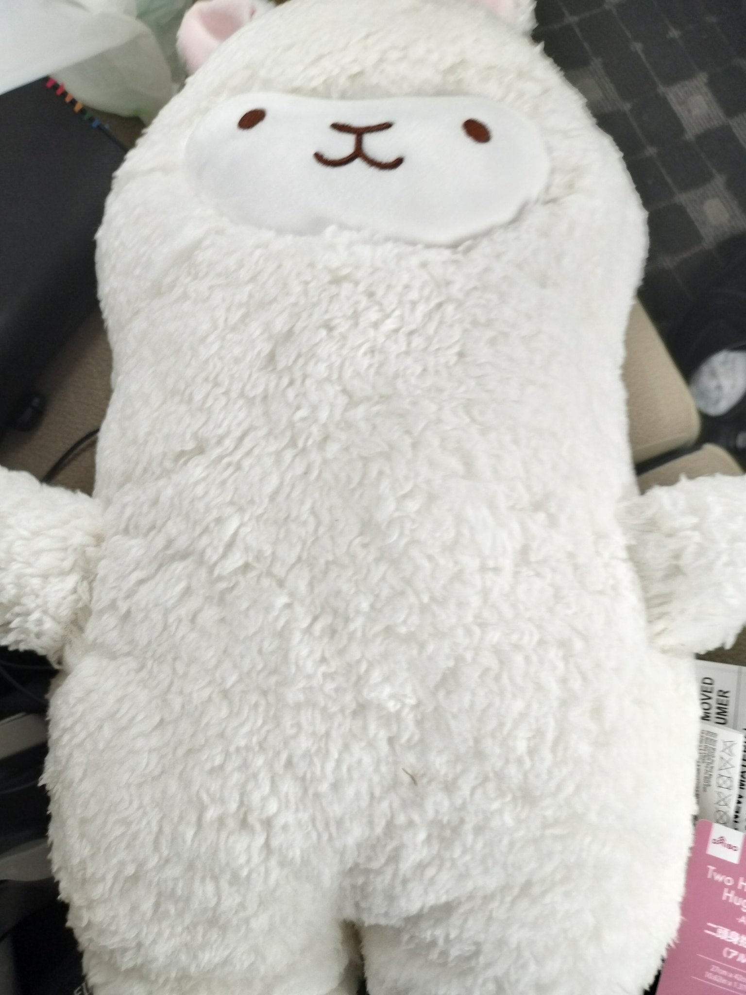 アルパカさんまとめ売り お肉ちゃん on X: 