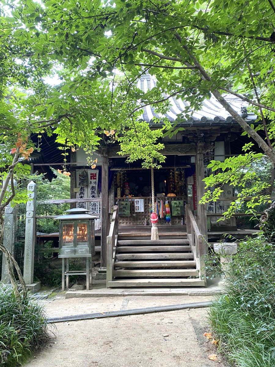 Peter_zunta's tweet photo. 四国霊場46番札所　浄瑠璃寺

本堂（薬師如来）と大師堂

とても心落ち着くお寺です✨
暑い日が続きますが境内は涼しかったです🌈蝶々もたくさん飛んでいました🦋 https://t.co/kR7AzQocEx
