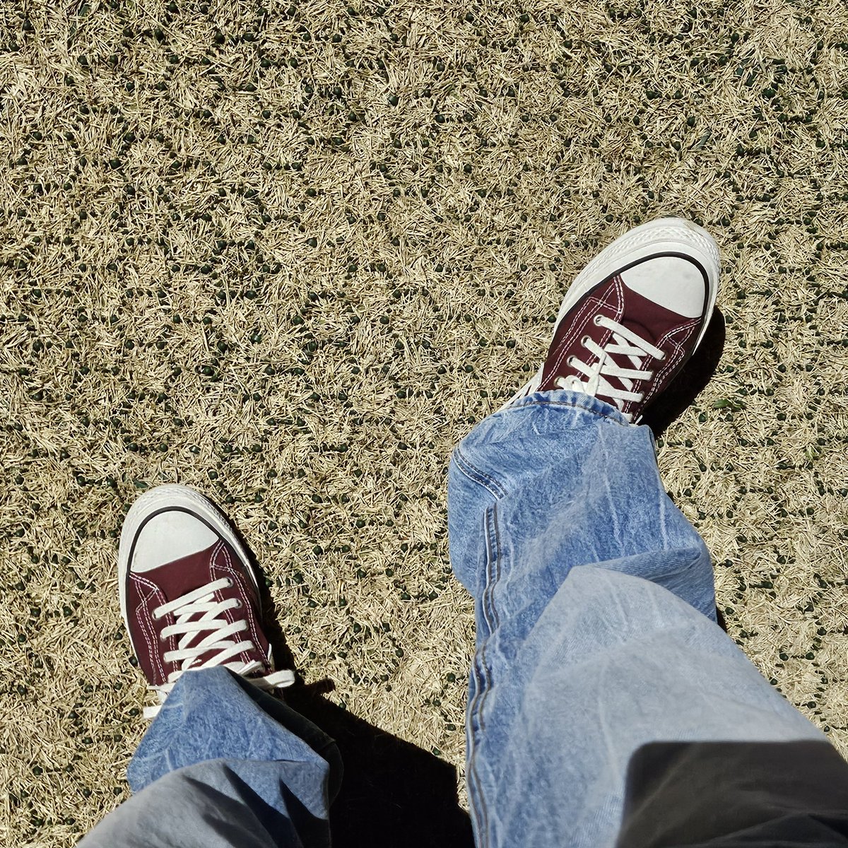 A tiny soul, all purrs and love—lives here. tweet media