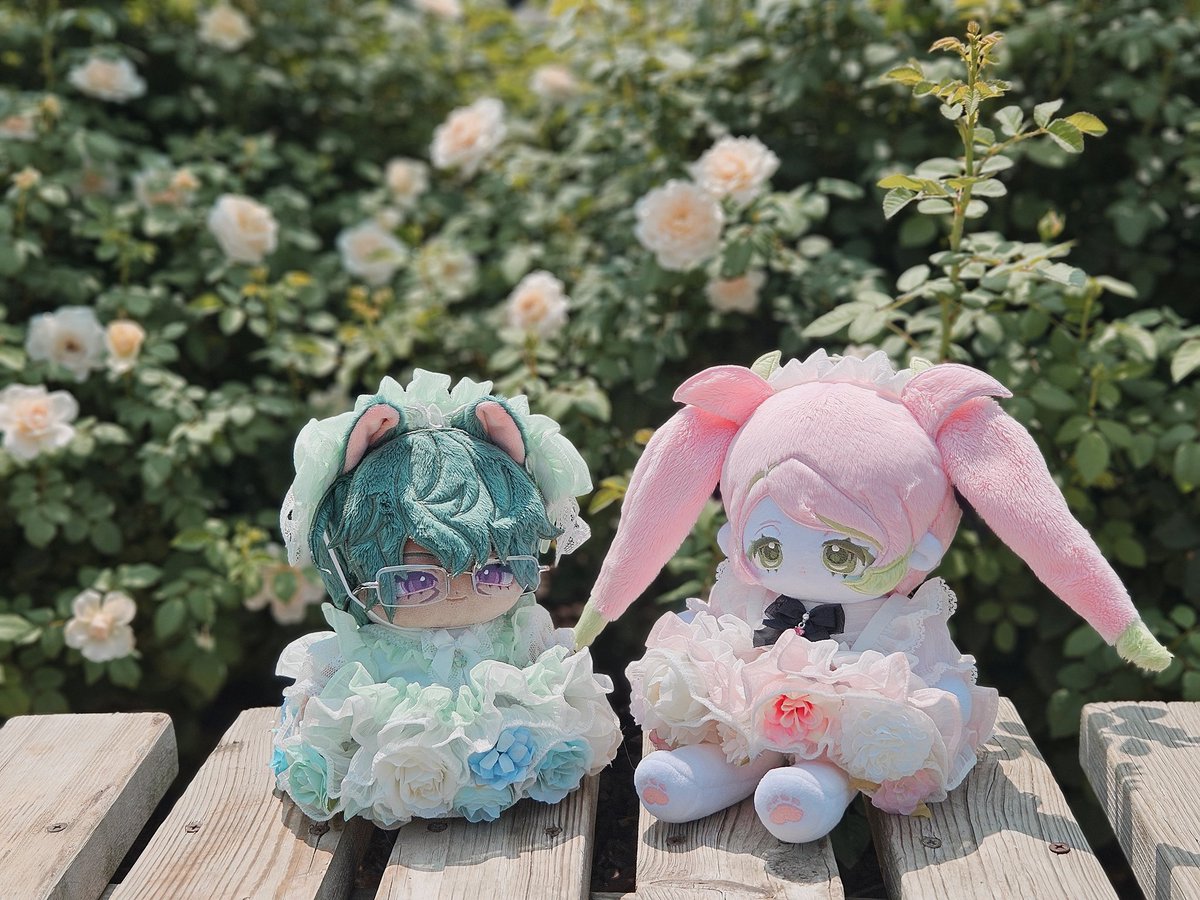 사람무는벌교꼬막 (@bitecockle) on Twitter photo 