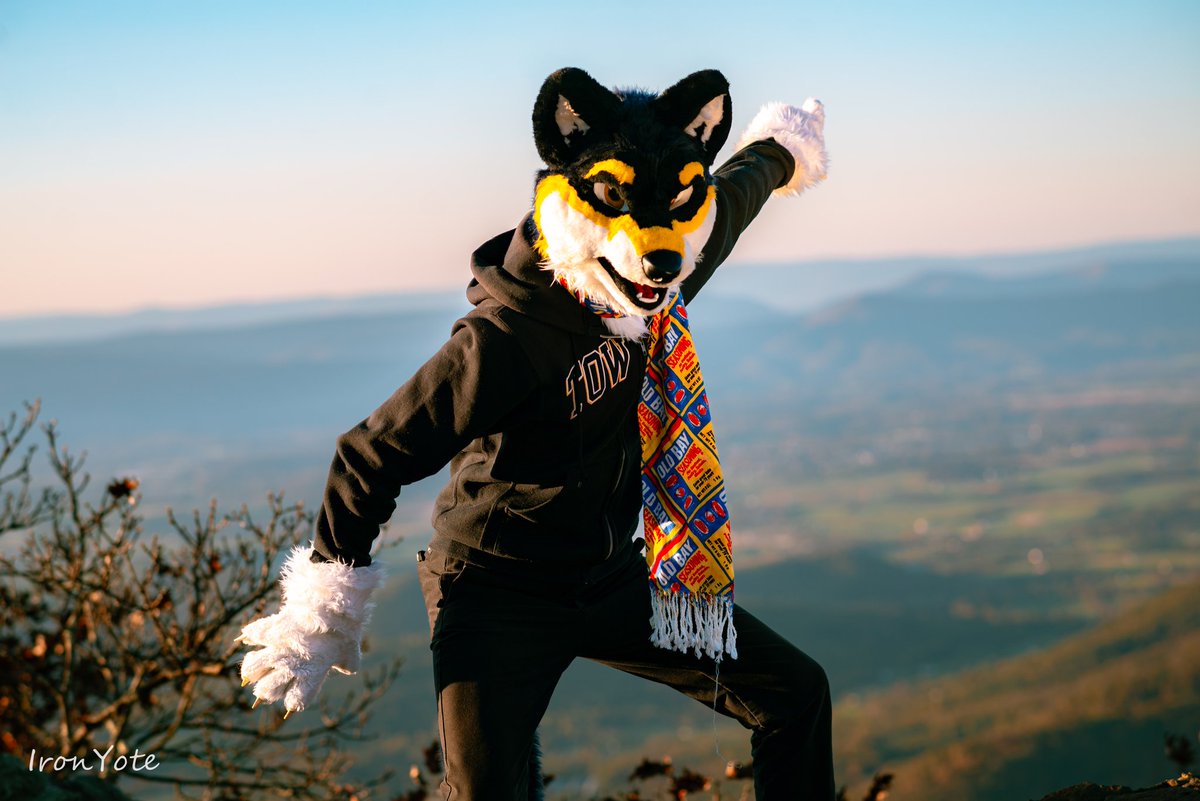 Clef Wolf 𝄋 tweet media
