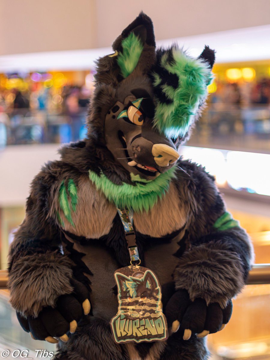 Enjoy a picture of <a href="/RykerHusky/">RykerHusky/Kureno</a> this #FursuitFriday