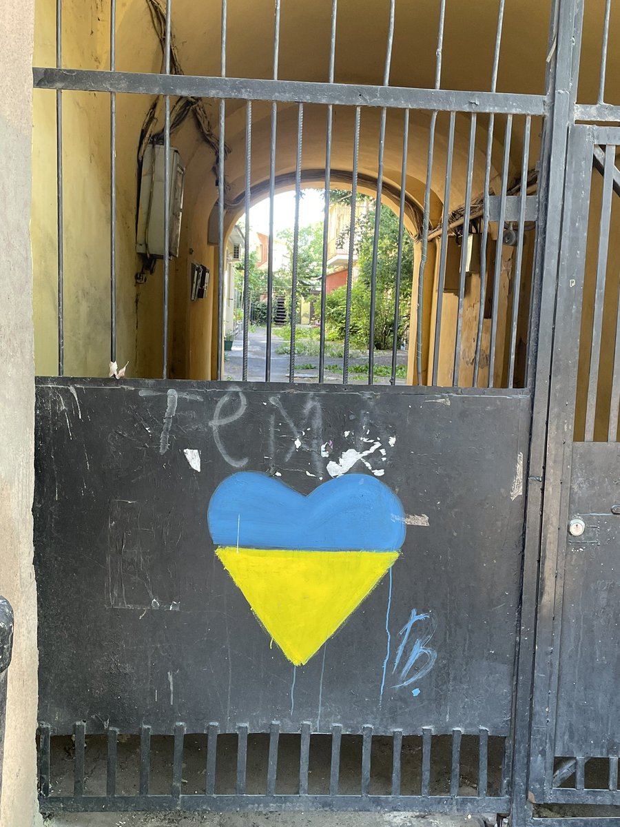 Most of you will know our precious <a href="/antoninaodessa/">Antonina A.K💙💛NAFO</a> 💛💙 was wounded by the Shahed attack here in #Odesa yesterday

So please if you can support the <a href="/OdesaSisters/">OdesaSisters</a> with even a little💰on the tweet quoted below

We don’t stop, we bend but we never break 💪

#SlavaUkraïni 💛🇺🇦💙