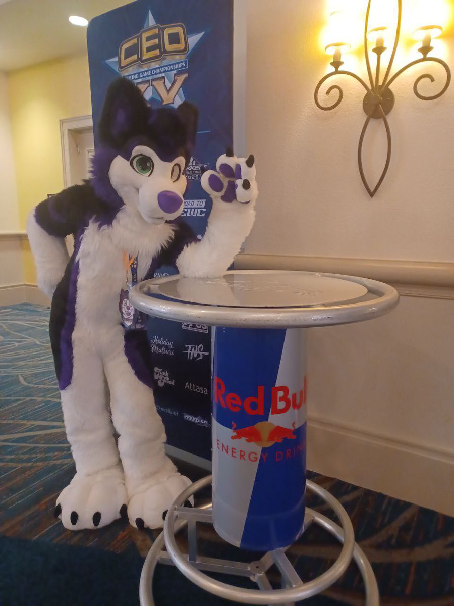 Think you can take on a husky? #FursuitFriday 

🧵<a href="/WildDogWorks/">WildDogWorks.com on 🦋</a>